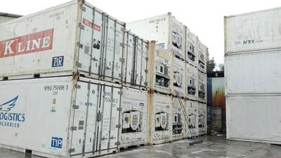 20RF冷藏集装箱6